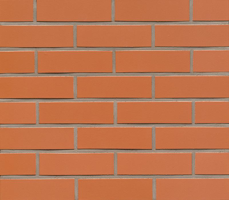 Клинкерная плитка Feldhaus Klinker R220NF9 Terracotta liso Красная ...